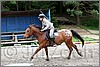 IMG_4909n.jpg(47,6 KB)