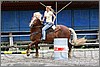 IMG_4915n.jpg(43,4 KB)