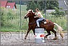 IMG_4917n.jpg(55,3 KB)
