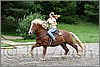 IMG_4918n.jpg(50,4 KB)