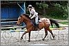 IMG_4929n.jpg(47,1 KB)