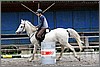 IMG_4932n.jpg(41,0 KB)