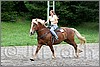 IMG_4938n.jpg(47,5 KB)