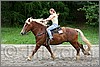 IMG_4939n.jpg(48,1 KB)