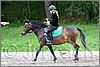 IMG_4966n.jpg(48,1 KB)