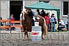 IMG_4969n.jpg(47,0 KB)