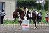 IMG_4972n.jpg(48,9 KB)