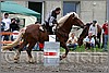 IMG_4980n.jpg(48,6 KB)