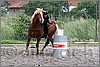 IMG_4982n.jpg(57,1 KB)