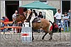 IMG_4983n.jpg(48,4 KB)