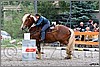 IMG_4988n.jpg(54,8 KB)