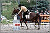 IMG_4992n.jpg(53,9 KB)