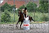 IMG_4993n.jpg(57,4 KB)