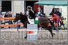 IMG_4995n.jpg(48,2 KB)