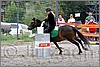 IMG_4996n.jpg(52,4 KB)