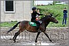 IMG_4999n.jpg(45,6 KB)