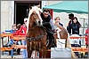 IMG_5000n.jpg(43,1 KB)