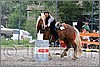 IMG_5001n.jpg(54,0 KB)