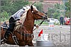 IMG_5003n.jpg(43,5 KB)