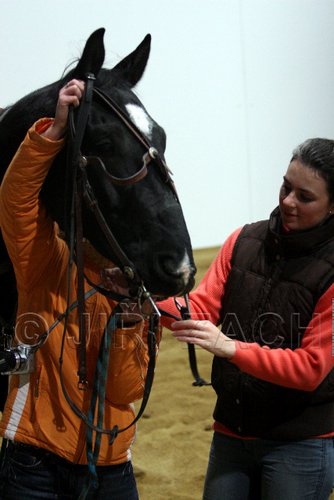 Hos06_0048.jpg
