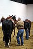Hos06_0040.jpg