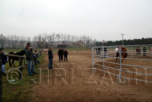 Hos06_0182.jpg