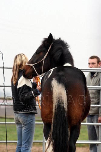 Hos06_0208.jpg