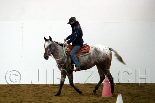 Hos06_0304.jpg