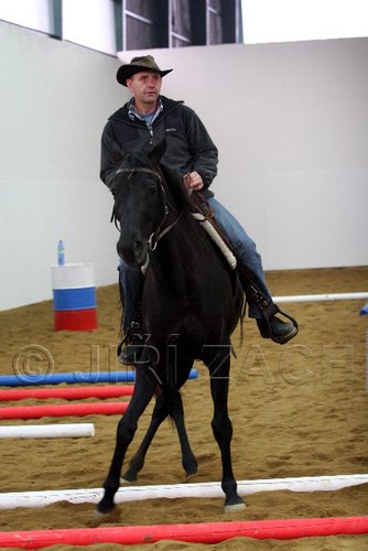 Hos06_0435.jpg