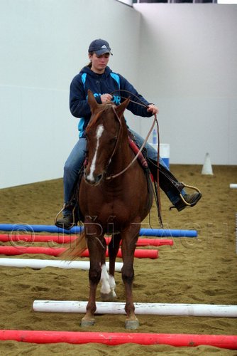 Hos06_0453.jpg