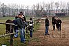 Hos06_0180.jpg
