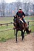 Hos06_0244.jpg