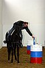 Hos06_0315.jpg