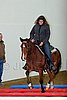 Hos06_0321.jpg
