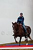 Hos06_0358.jpg