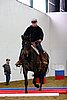 Hos06_0368.jpg
