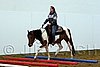 Hos06_0414.jpg