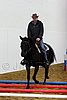 Hos06_0433.jpg