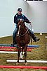 Hos06_0453.jpg