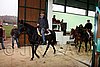 Hos06_0481.jpg