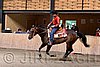 MRJ06_0910.jpg