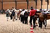 MRJ06_0514.jpg