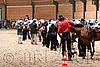 MRJ06_0515.jpg