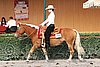 MEC06_0801.jpg