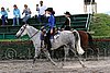 MEC06_0809.jpg