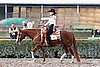 MEC06_0867.jpg