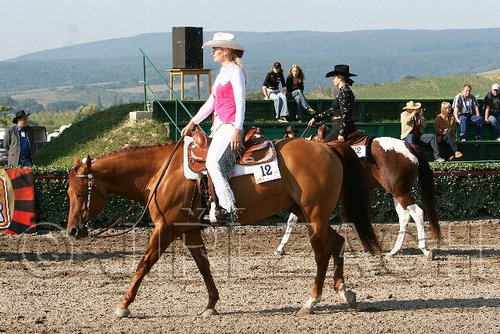 MEC06_0054.jpg