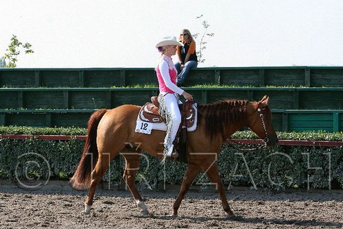MEC06_0167.jpg