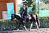 MEC06_0071.jpg