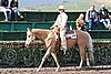 MEC06_0075.jpg
